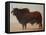 Brahmin Bull-Lincoln Seligman-Framed Stretched Canvas