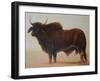 Brahmin Bull-Lincoln Seligman-Framed Giclee Print