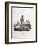 Brahmin Courtier, 1828-Marlet et Cie-Framed Giclee Print