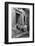 Brahmin Cow-null-Framed Photographic Print