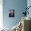 Brahms Photo-null-Mounted Art Print displayed on a wall