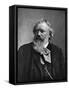 Brahms Photo-null-Framed Stretched Canvas