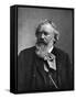 Brahms Photo-null-Framed Stretched Canvas