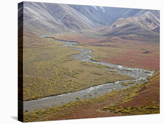 Braided River in the Fall, Denali National Park and Preserve, Alaska, USA-James Hager-Stretched Canvas