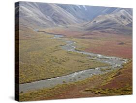 Braided River in the Fall, Denali National Park and Preserve, Alaska, USA-James Hager-Stretched Canvas