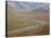 Braided River in the Fall, Denali National Park and Preserve, Alaska, USA-James Hager-Stretched Canvas