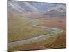 Braided River in the Fall, Denali National Park and Preserve, Alaska, USA-James Hager-Mounted Photographic Print