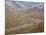 Braided River in the Fall, Denali National Park and Preserve, Alaska, USA-James Hager-Mounted Photographic Print