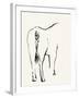 Braided Tail-Kristine Hegre-Framed Giclee Print