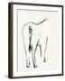 Braided Tail-Kristine Hegre-Framed Giclee Print