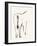 Braided Tail-Kristine Hegre-Framed Giclee Print