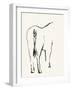 Braided Tail-Kristine Hegre-Framed Giclee Print