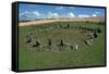 Braiid Settlement Site on the Isle of Man-CM Dixon-Framed Stretched Canvas