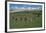 Braiid Settlement Site on the Isle of Man-CM Dixon-Framed Photographic Print