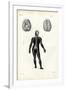 Brain, 1863-79-Raimundo Petraroja-Framed Giclee Print