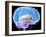 Brain Anatomy, Artwork-Roger Harris-Framed Photographic Print