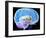 Brain Anatomy, Artwork-Roger Harris-Framed Photographic Print