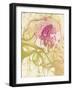 Brain Anatomy-Hans-ulrich Osterwalder-Framed Photographic Print