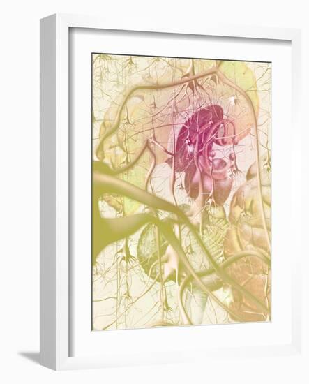 Brain Anatomy-Hans-ulrich Osterwalder-Framed Photographic Print