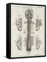 Brain and Spinal Column-A. Bell-Framed Stretched Canvas