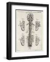 Brain and Spinal Column-A. Bell-Framed Photographic Print