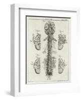 Brain and Spinal Column-A. Bell-Framed Photographic Print