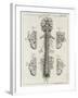 Brain and Spinal Column-A. Bell-Framed Photographic Print