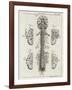 Brain and Spinal Column-A. Bell-Framed Photographic Print