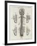 Brain and Spinal Column-A. Bell-Framed Photographic Print