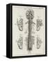 Brain and Spinal Column-A. Bell-Framed Stretched Canvas