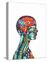 Brain And Spinal Cord, MRI-Mehau Kulyk-Stretched Canvas