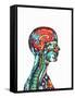 Brain And Spinal Cord, MRI-Mehau Kulyk-Framed Stretched Canvas