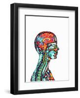 Brain And Spinal Cord, MRI-Mehau Kulyk-Framed Premium Photographic Print