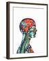 Brain And Spinal Cord, MRI-Mehau Kulyk-Framed Photographic Print