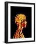 Brain And Spinal Cord-Mehau Kulyk-Framed Photographic Print