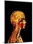 Brain And Spinal Cord-Mehau Kulyk-Mounted Photographic Print