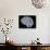 Brain, Artwork-PASIEKA-Framed Stretched Canvas displayed on a wall