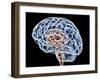 Brain, Artwork-PASIEKA-Framed Premium Photographic Print