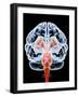 Brain, Artwork-PASIEKA-Framed Photographic Print