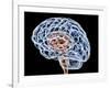 Brain, Artwork-PASIEKA-Framed Photographic Print