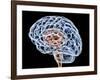 Brain, Artwork-PASIEKA-Framed Photographic Print