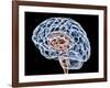 Brain, Artwork-PASIEKA-Framed Photographic Print