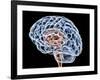 Brain, Artwork-PASIEKA-Framed Photographic Print