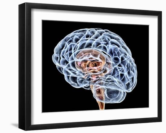 Brain, Artwork-PASIEKA-Framed Photographic Print