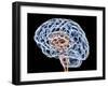 Brain, Artwork-PASIEKA-Framed Photographic Print