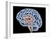 Brain, Artwork-PASIEKA-Framed Photographic Print