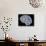 Brain, Artwork-PASIEKA-Photographic Print displayed on a wall