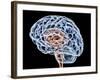 Brain, Artwork-PASIEKA-Framed Photographic Print