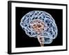 Brain, Artwork-PASIEKA-Framed Photographic Print