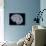 Brain, Artwork-PASIEKA-Mounted Photographic Print displayed on a wall